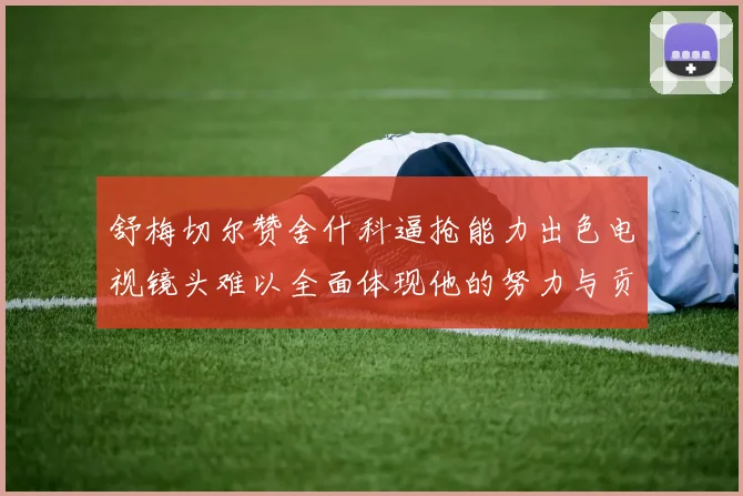 舒梅切尔赞舍什科逼抢能力出色电视镜头难以全面体现他的努力与贡献