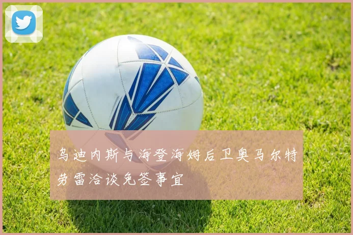 乌迪内斯与海登海姆后卫奥马尔特劳雷洽谈免签事宜