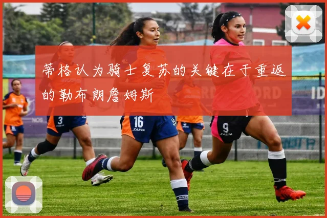 蒂格认为骑士复苏的关键在于重返的勒布朗詹姆斯